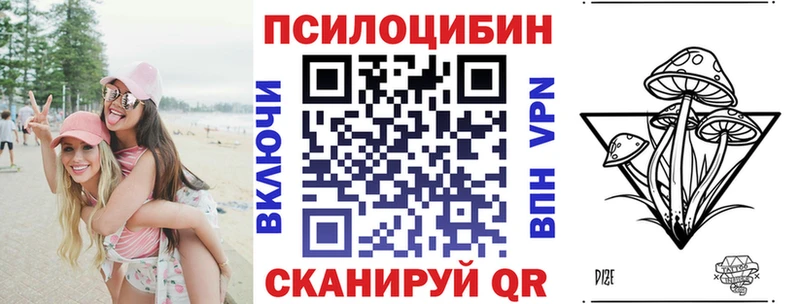 наркотики  Кимовск  Псилоцибиновые грибы Psilocybe 